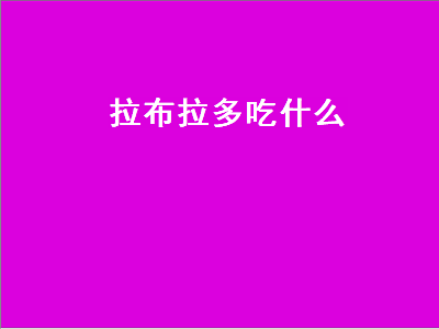 拉布拉多吃什么（拉布拉多吃什么好）