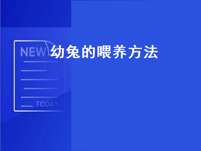 幼兔的喂养方法（一到三个月幼兔的喂养方法）