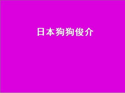 日本狗狗俊介（日本网红狗狗俊介图片）