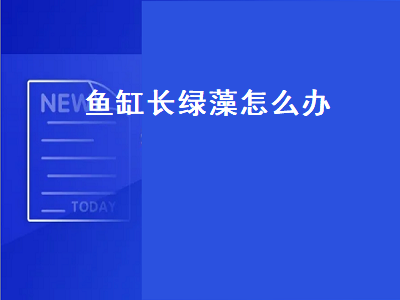 鱼缸长绿藻怎么办（观赏鱼缸长绿藻怎么办）