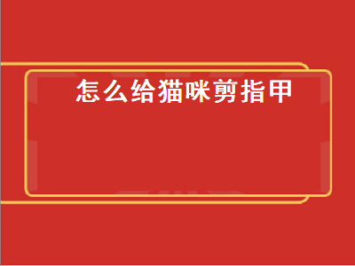 怎么给猫咪剪指甲（怎么给猫咪剪指甲不反抗）