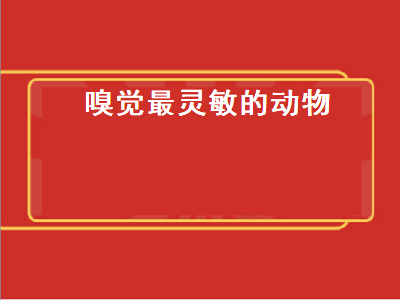 嗅觉最灵敏的动物（嗅觉最灵敏的动物排名）