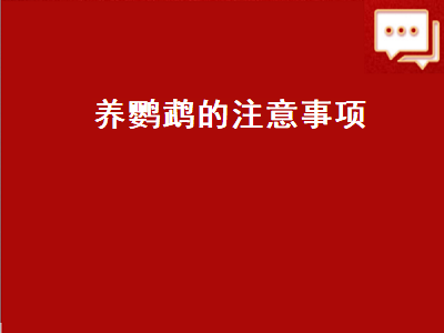 养鹦鹉的注意事项（养鹦鹉的注意事项冬天）