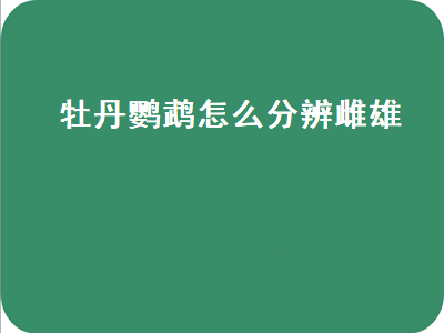 牡丹鹦鹉怎么分辨雌雄（牡丹鹦鹉怎么分辨雌雄图片）