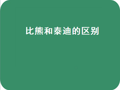 比熊和泰迪的区别（比熊和泰迪的区别图片）