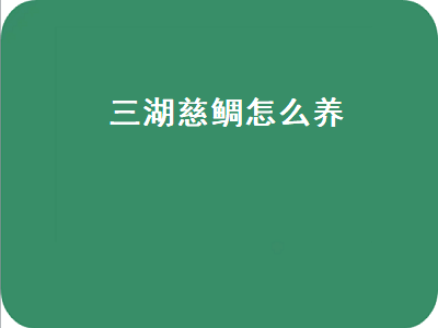 三湖慈鲷怎么养（三湖慈鲷怎么养水温）