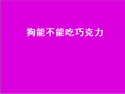 狗能不能吃巧克力（狗能不能吃巧克力会不会死）