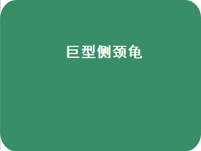 巨型侧颈龟（巨型侧颈龟可以养吗）