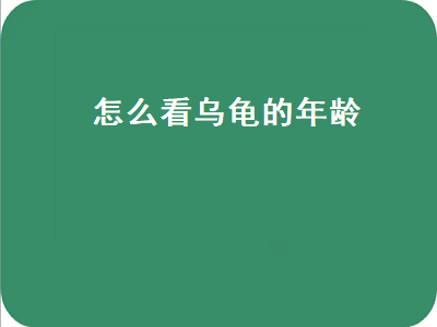 怎么看乌龟的年龄（怎么看乌龟的年龄和性别）