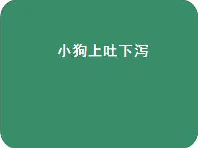 小狗上吐下泻（小狗上吐下泻怎么回事给什么药吃）