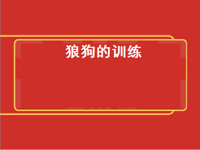 狼狗的训练（狼狗的训练方法）