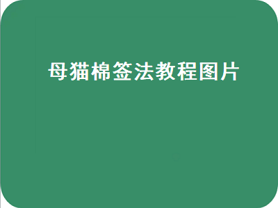 母猫棉签法教程图片（公猫棉签法教程图片）