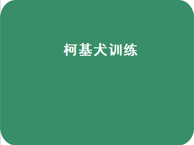 柯基犬训练（柯基犬训练教程视频）