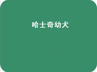 哈士奇幼犬（哈士奇幼犬多少钱一只）