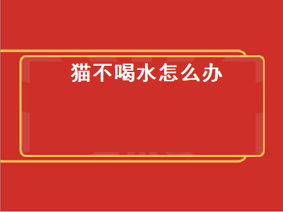 猫不喝水怎么办（猫不喝水怎么办,强灌吗）