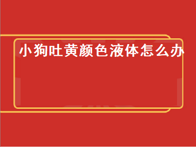 小狗吐黄颜色液体怎么办（小狗吐黄颜色液体怎么办吃什么药）