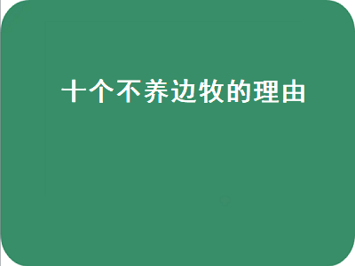 十个不养边牧的理由（十个不养金毛的理由）